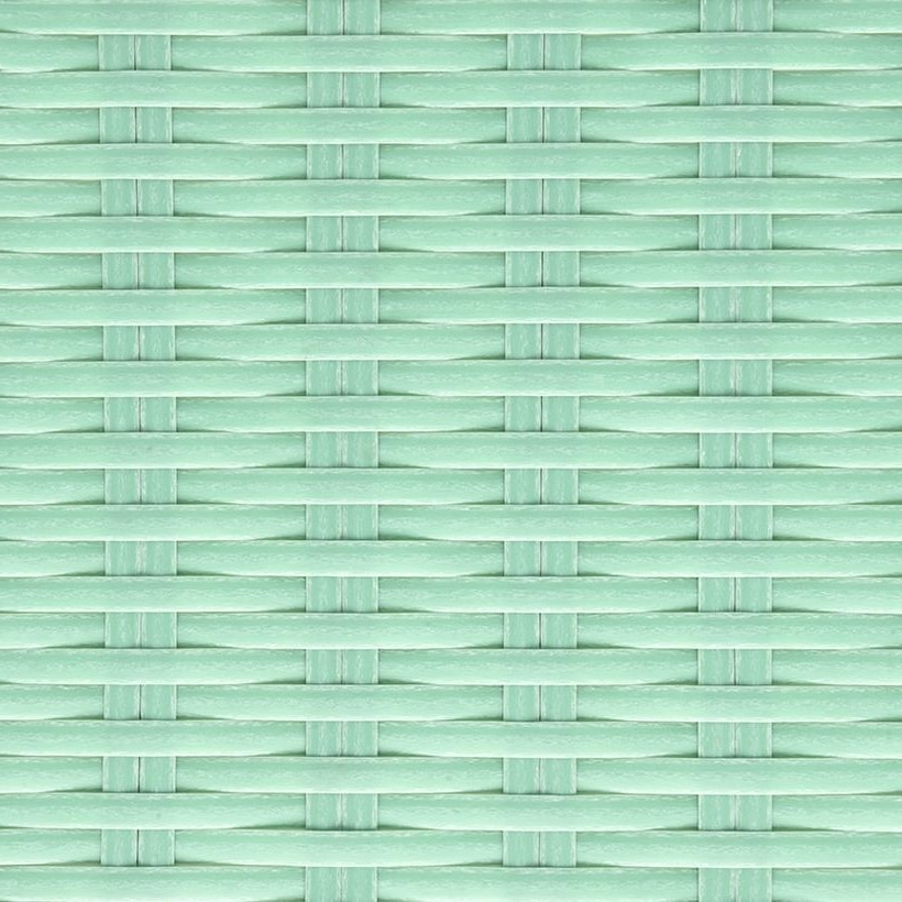 Green Flat PE Rattan Strip, 10 × 1.3 mm for Wicker Furniture Production GLR-FLAT-147 from Greenlife Rattan